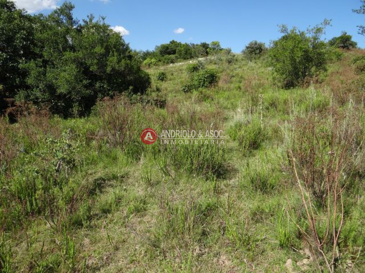 Campo Ref.6215 - Campo en Punta del Este, 