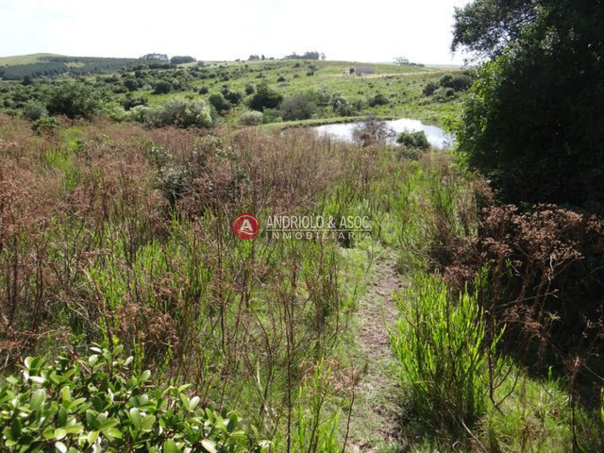 Campo Ref.6215 - Campo en Punta del Este, 