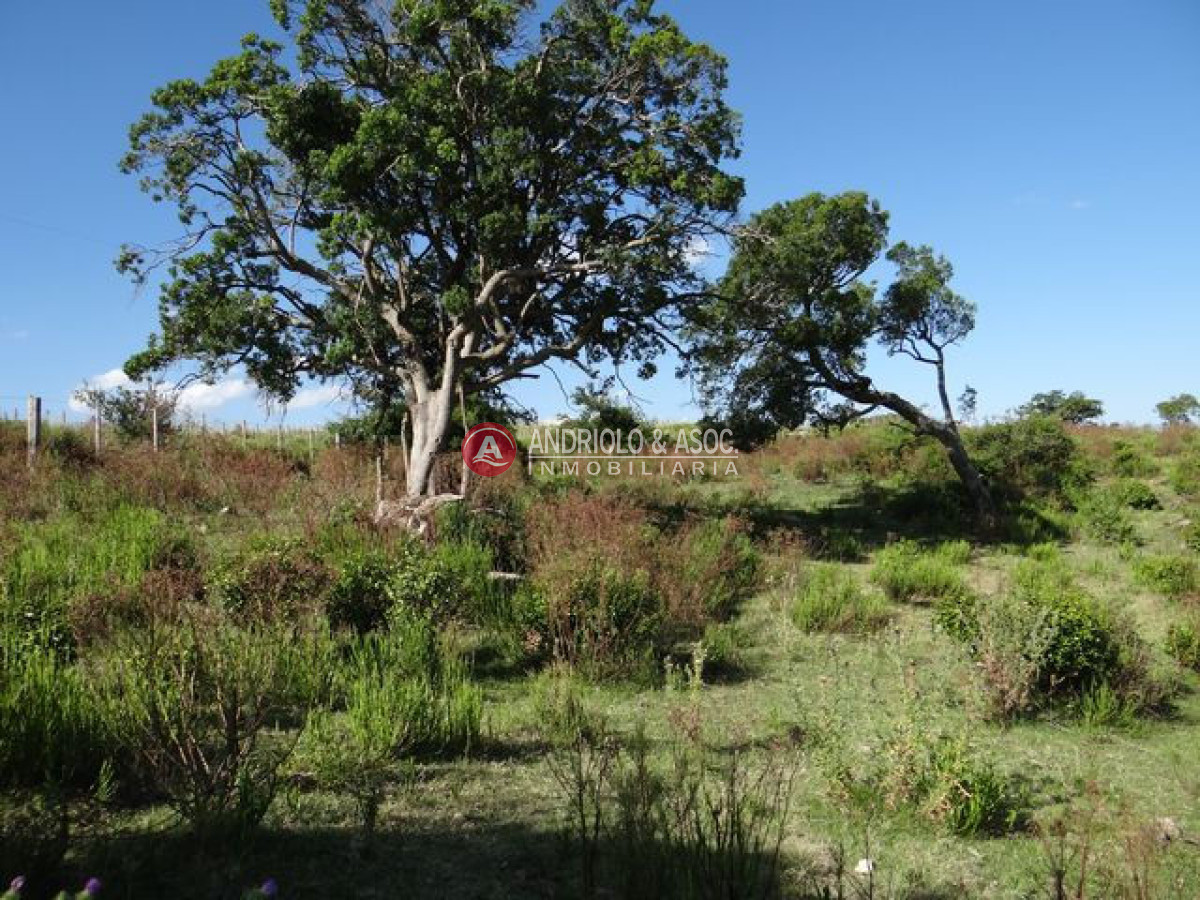 Campo Ref.6215 - Campo en Punta del Este, 