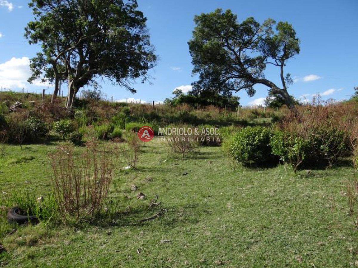 Campo Ref.6215 - Campo en Punta del Este, 