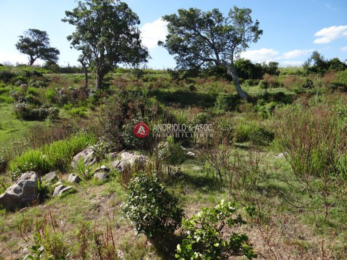 Campo Ref.6215 - Campo en Punta del Este, 