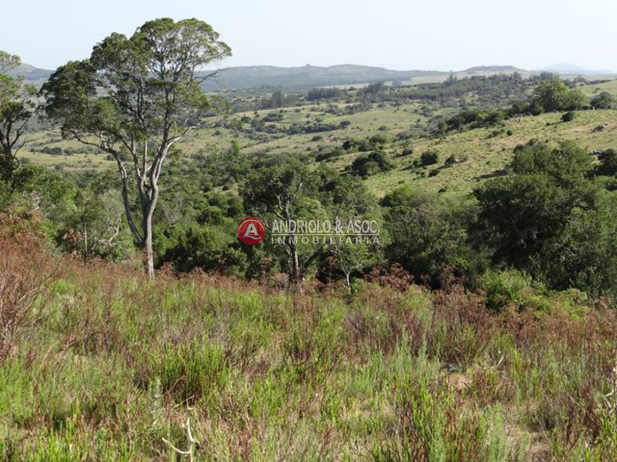 Campo Ref.6215 - Campo en Punta del Este, 