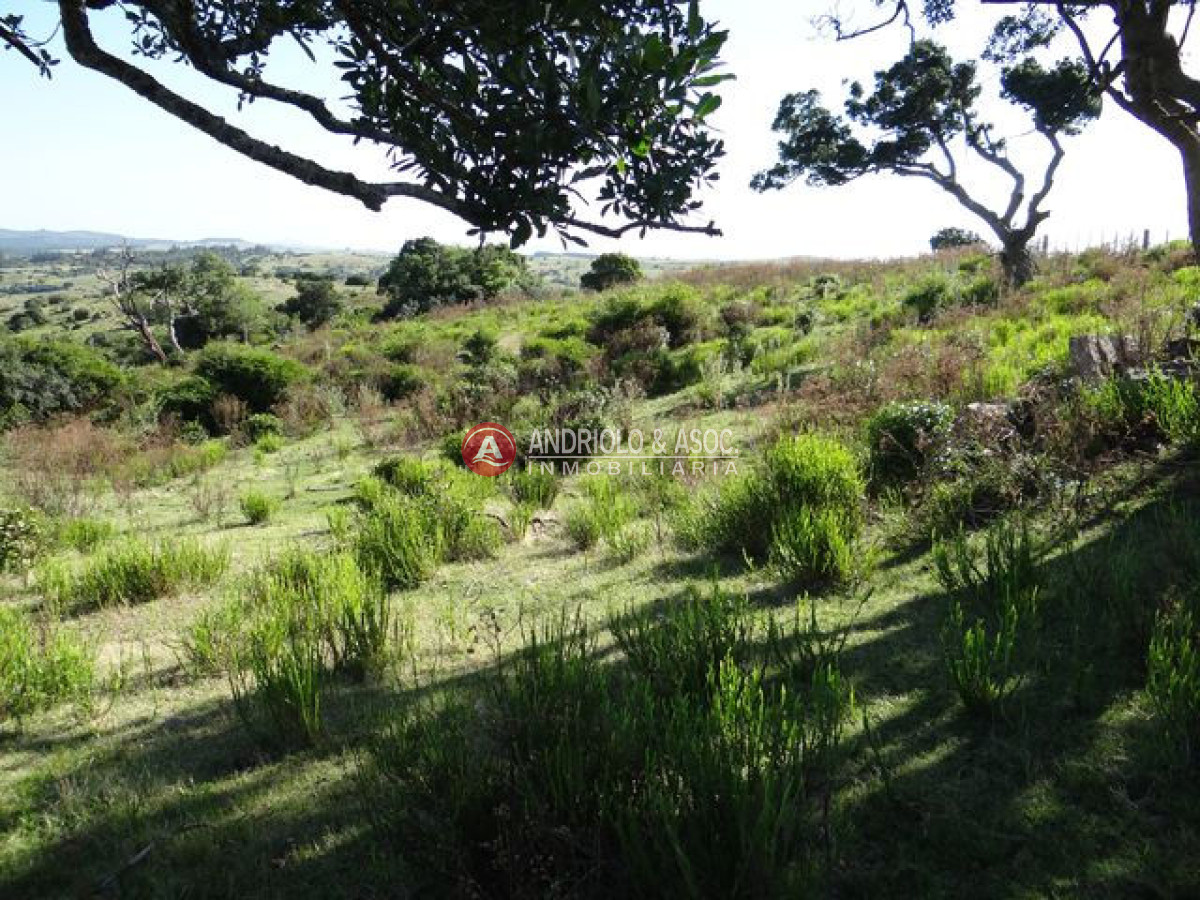 Campo Ref.6215 - Campo en Punta del Este, 