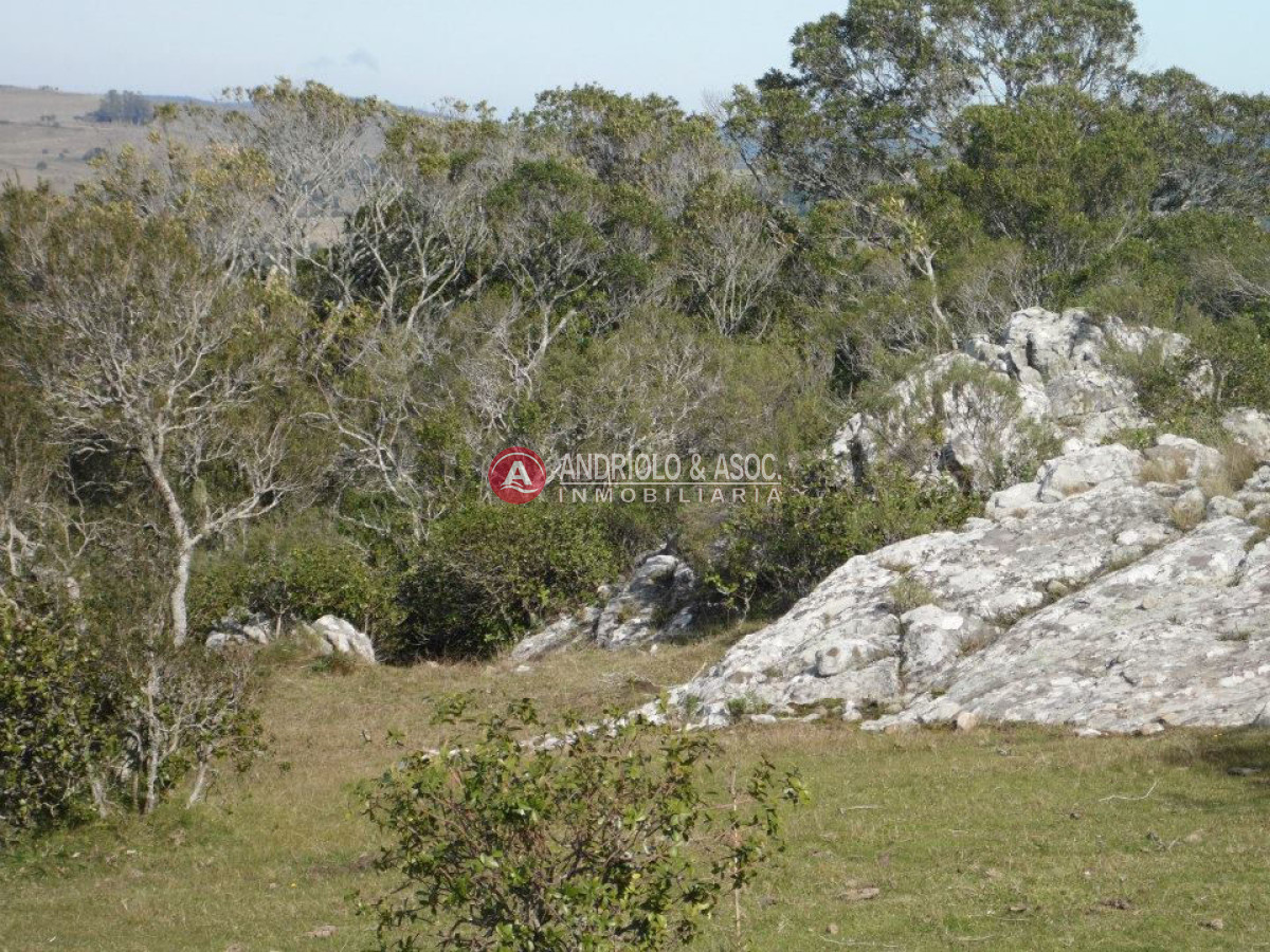 Campo Ref.6216 - Campo en Punta del Este, 