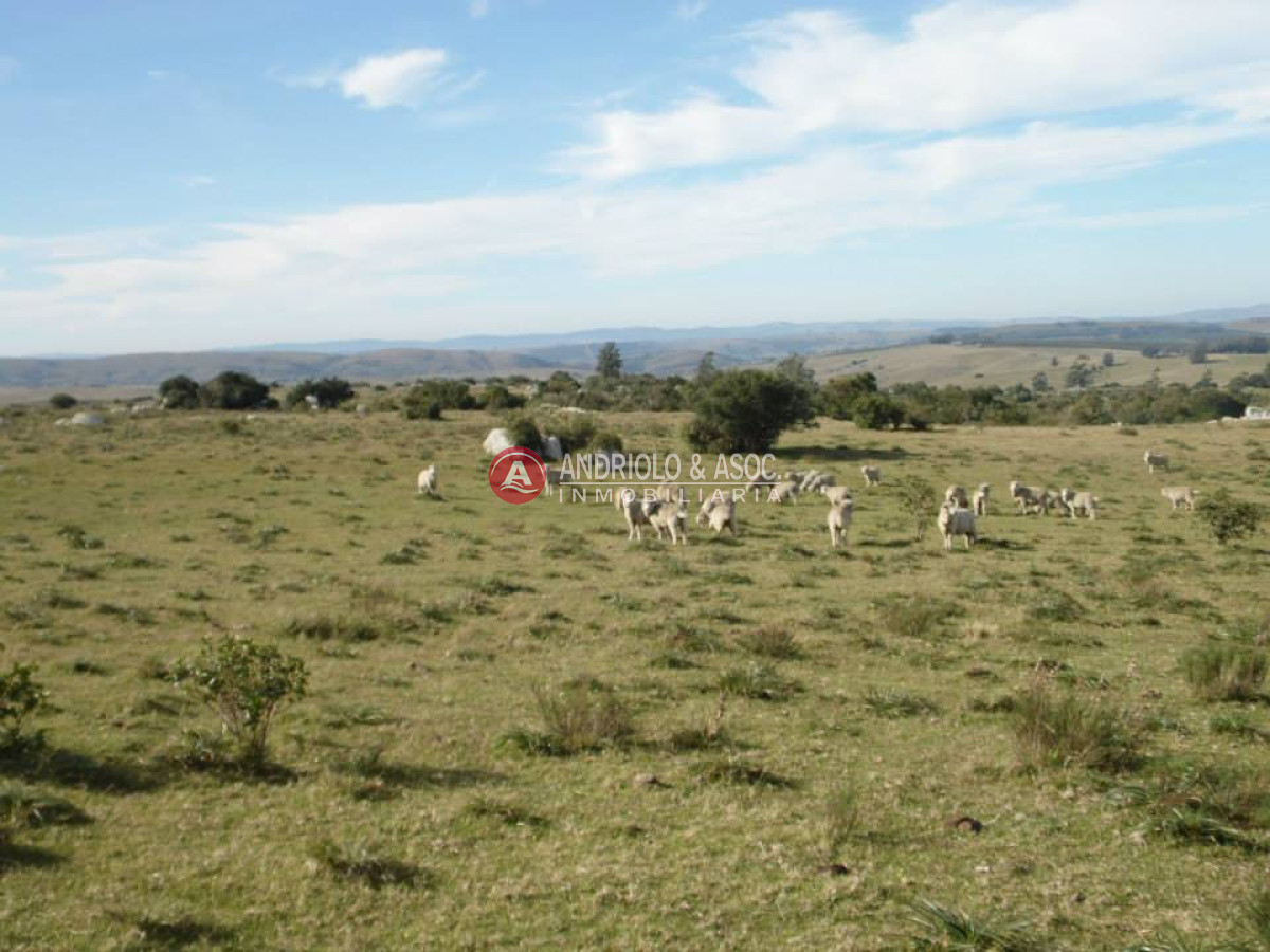Campo Ref.6216 - Campo en Punta del Este, 