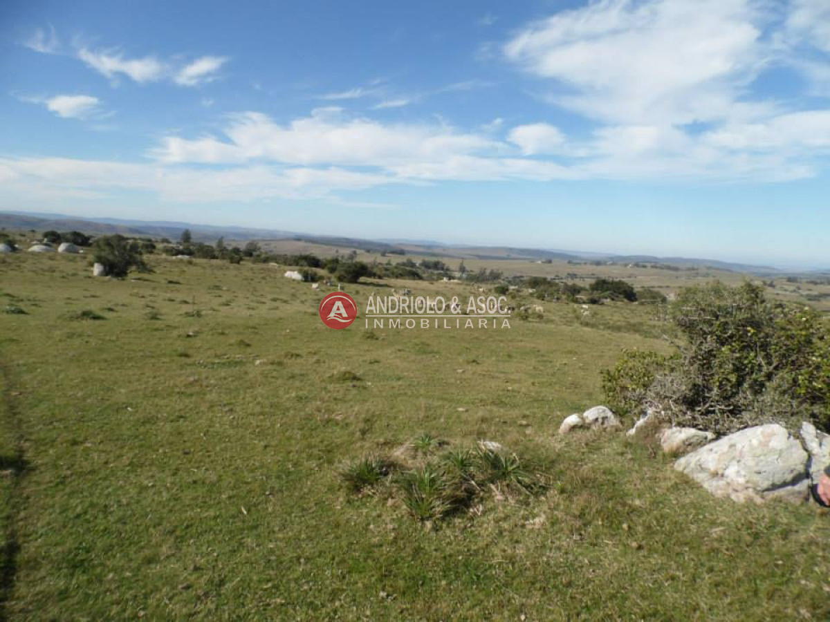 Campo Ref.6216 - Campo en Punta del Este, 