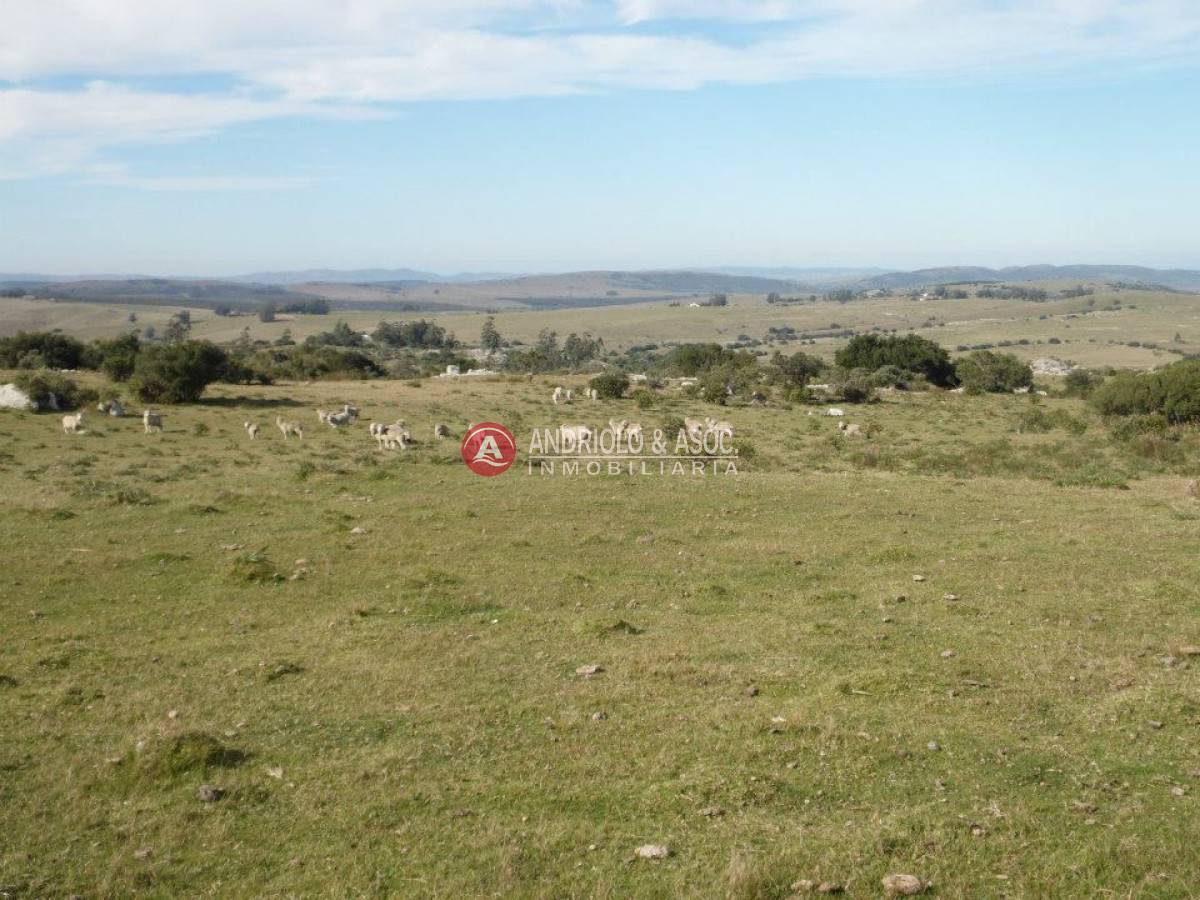 Campo Ref.6216 - Campo en Punta del Este, 