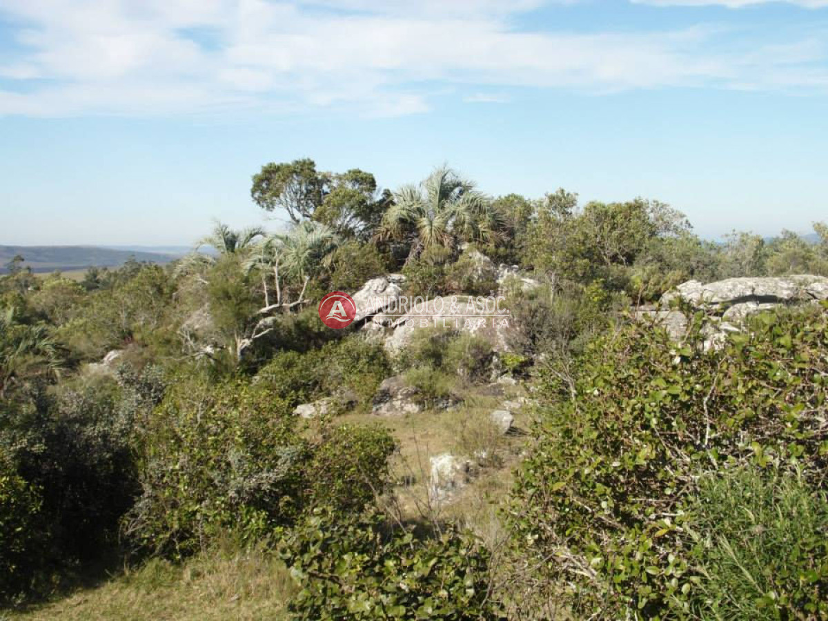 Campo Ref.6216 - Campo en Punta del Este, 