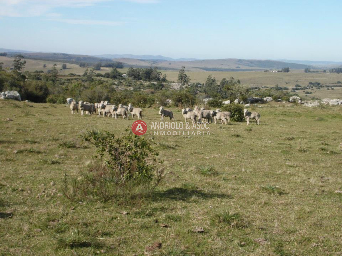 Campo Ref.6216 - Campo en Punta del Este, 