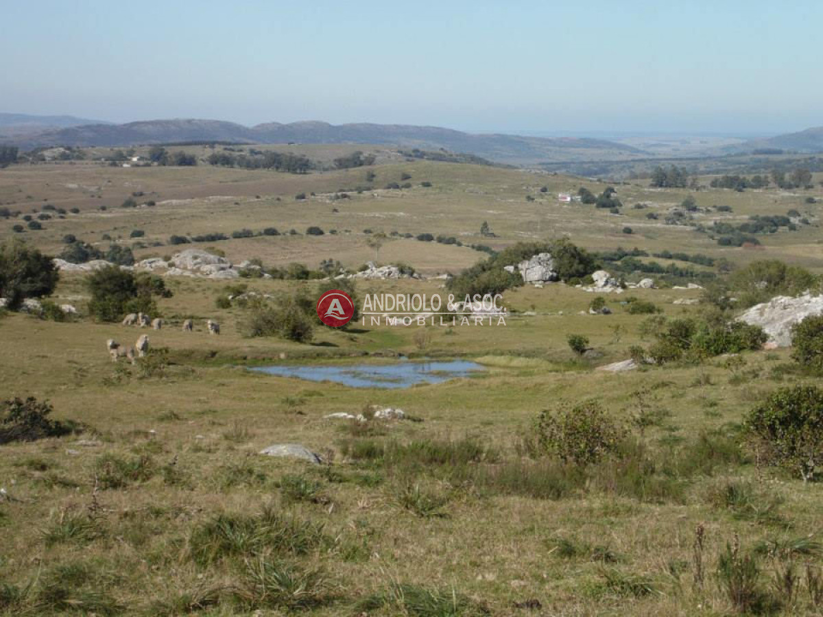Campo Ref.6216 - Campo en Punta del Este, 