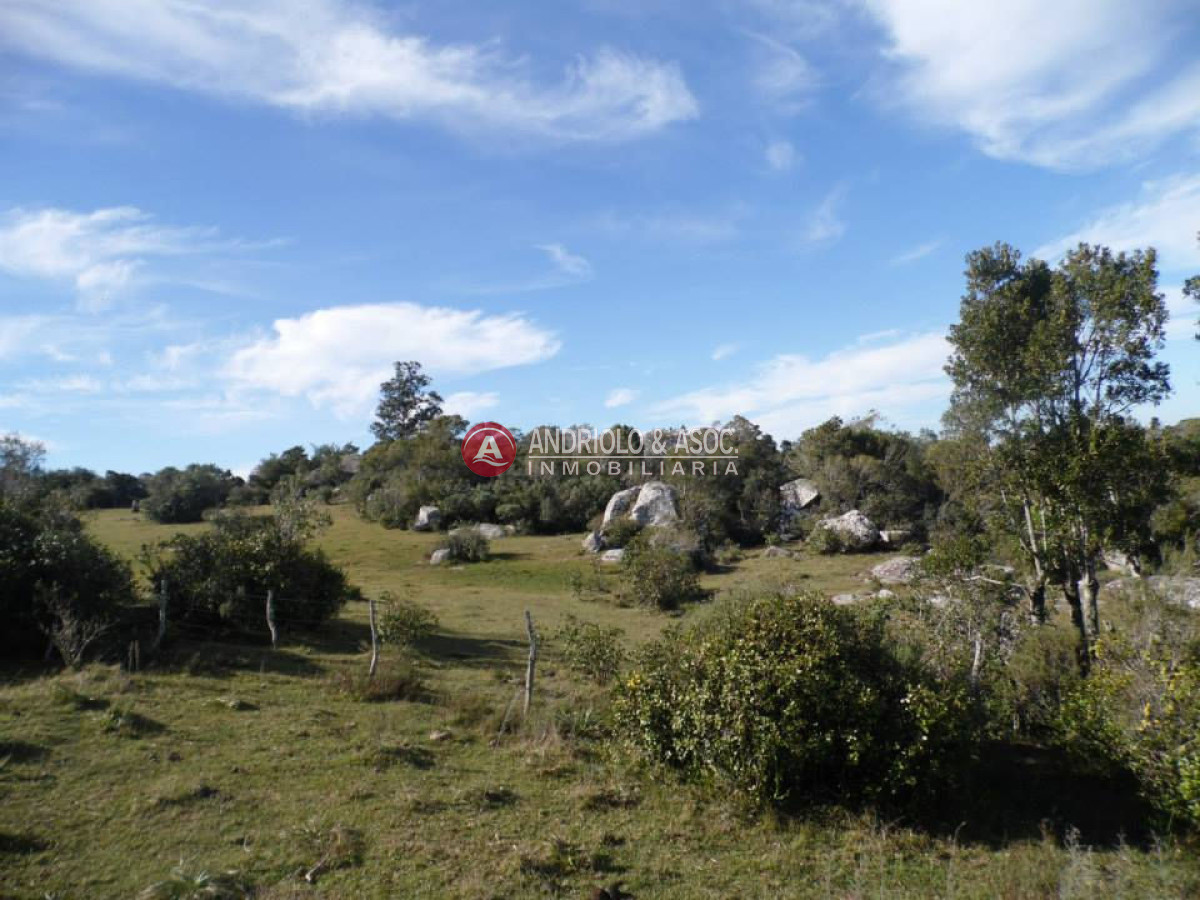 Campo Ref.6216 - Campo en Punta del Este, 