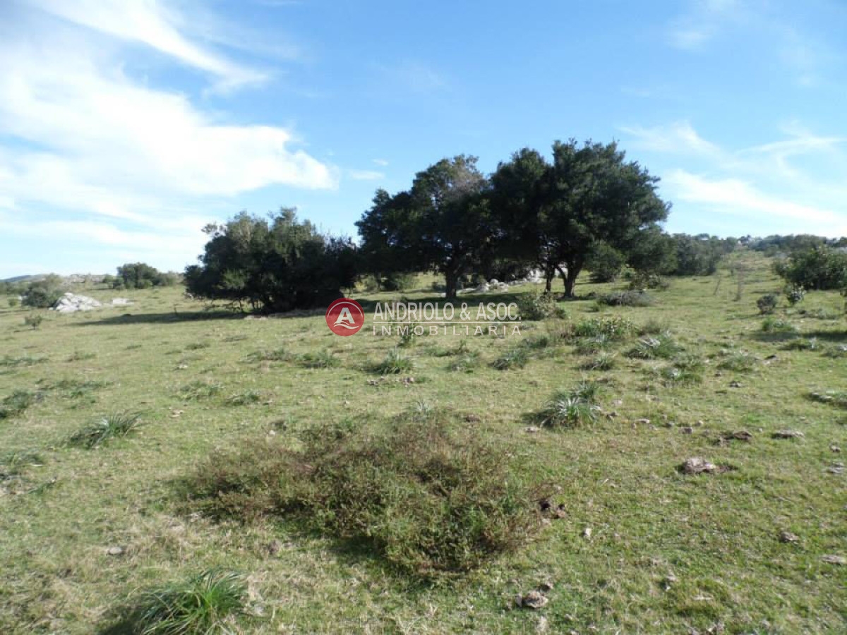 Campo Ref.6216 - Campo en Punta del Este, 