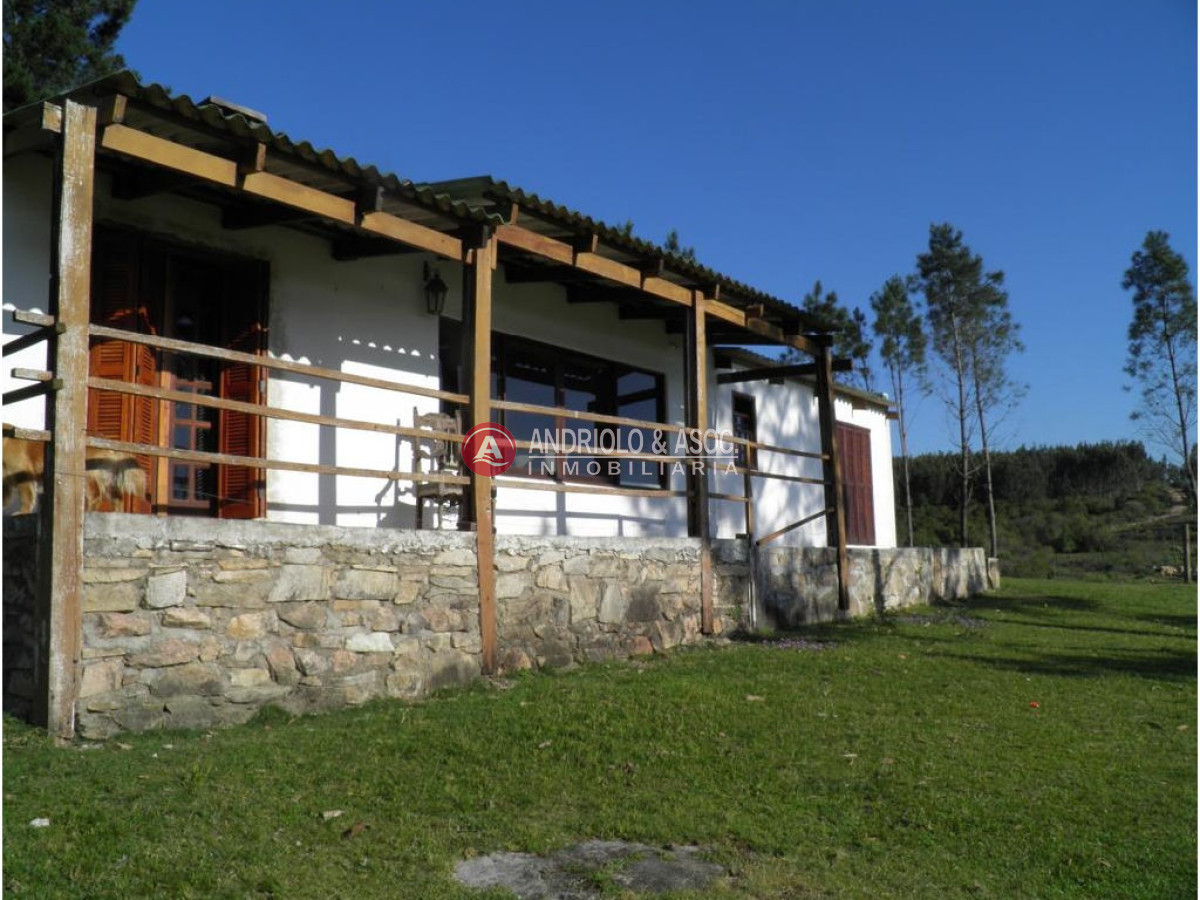 Campo Ref.6225 - Campo en Punta del Este, 