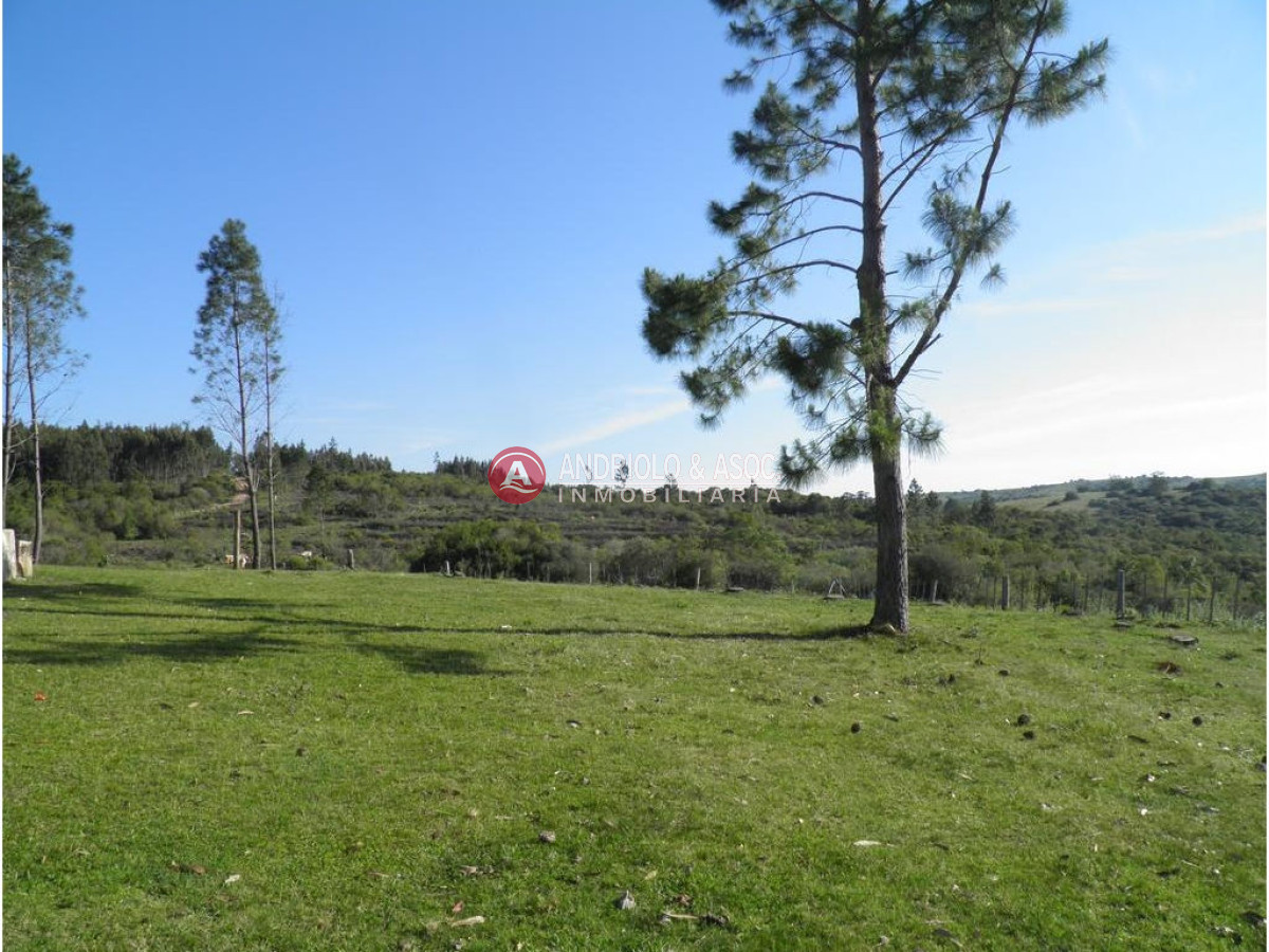 Campo Ref.6225 - Campo en Punta del Este, 