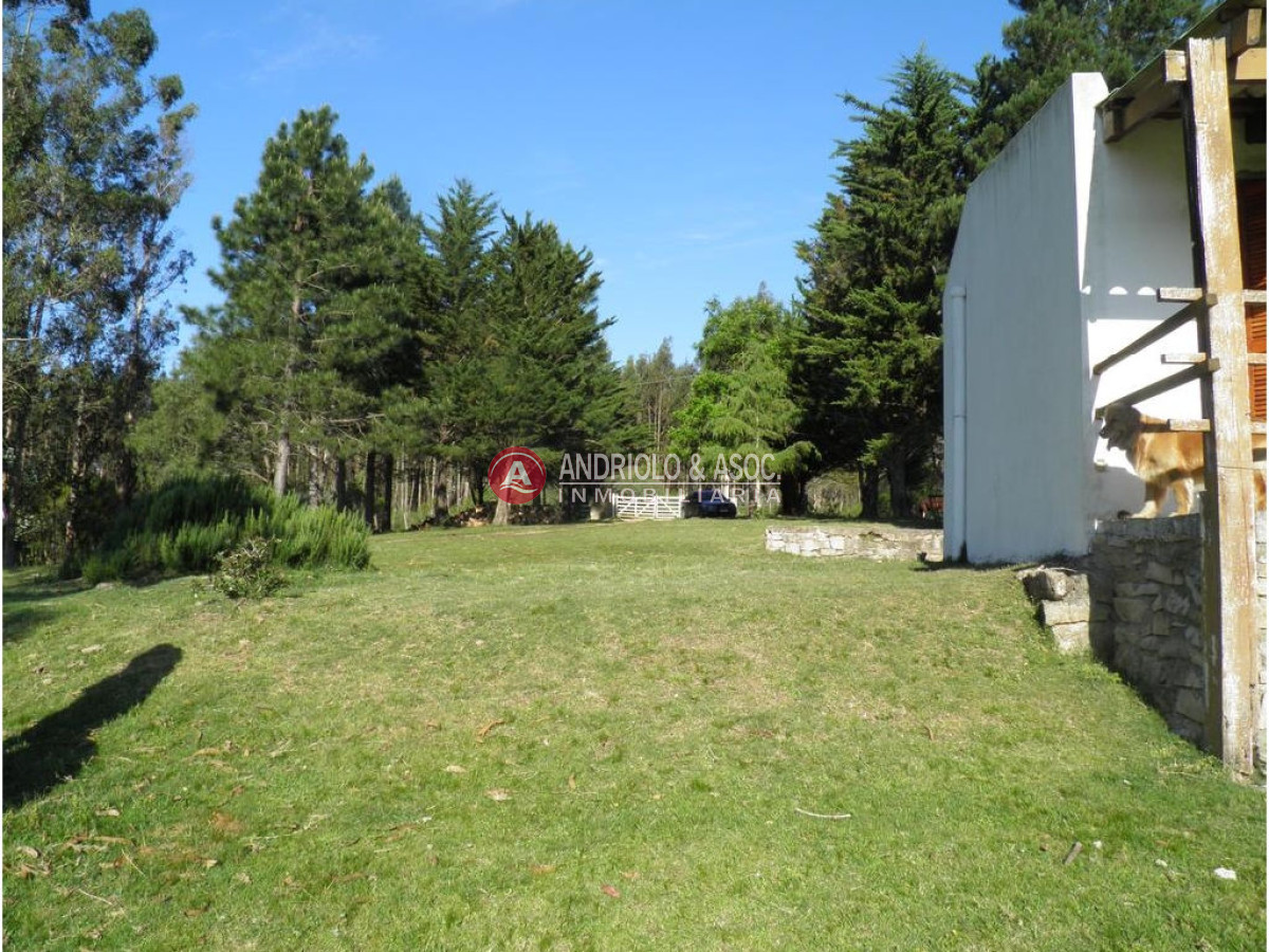 Campo Ref.6225 - Campo en Punta del Este, 