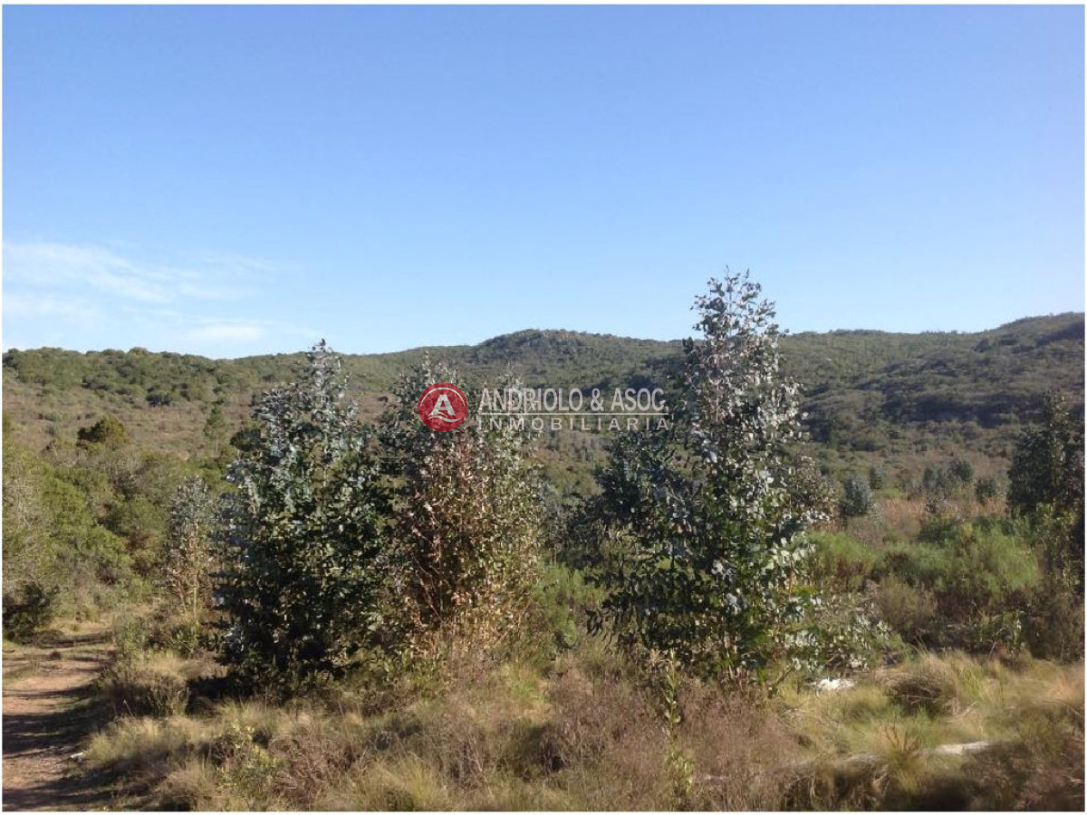 Campo Ref.6225 - Campo en Punta del Este, 