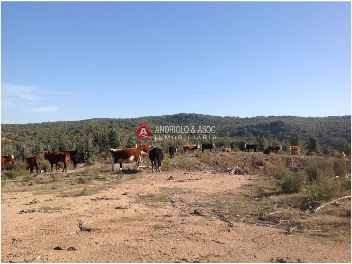 Campo Ref.6225 - Campo en Punta del Este, 