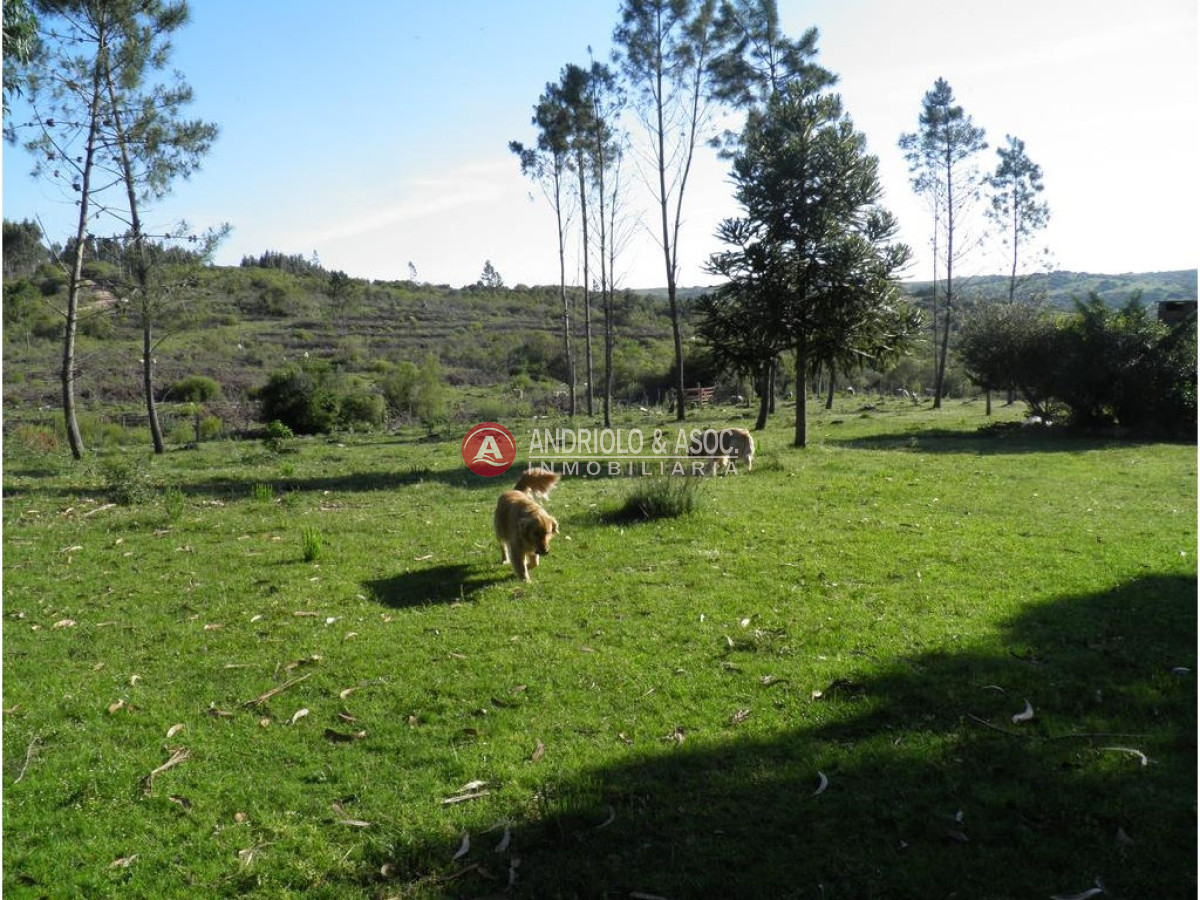 Campo Ref.6225 - Campo en Punta del Este, 