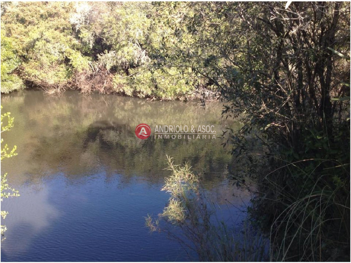 Campo Ref.6225 - Campo en Punta del Este, 