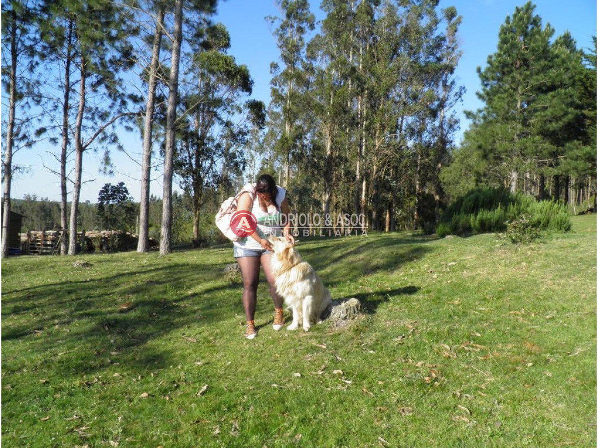 Campo Ref.6225 - Campo en Punta del Este, 