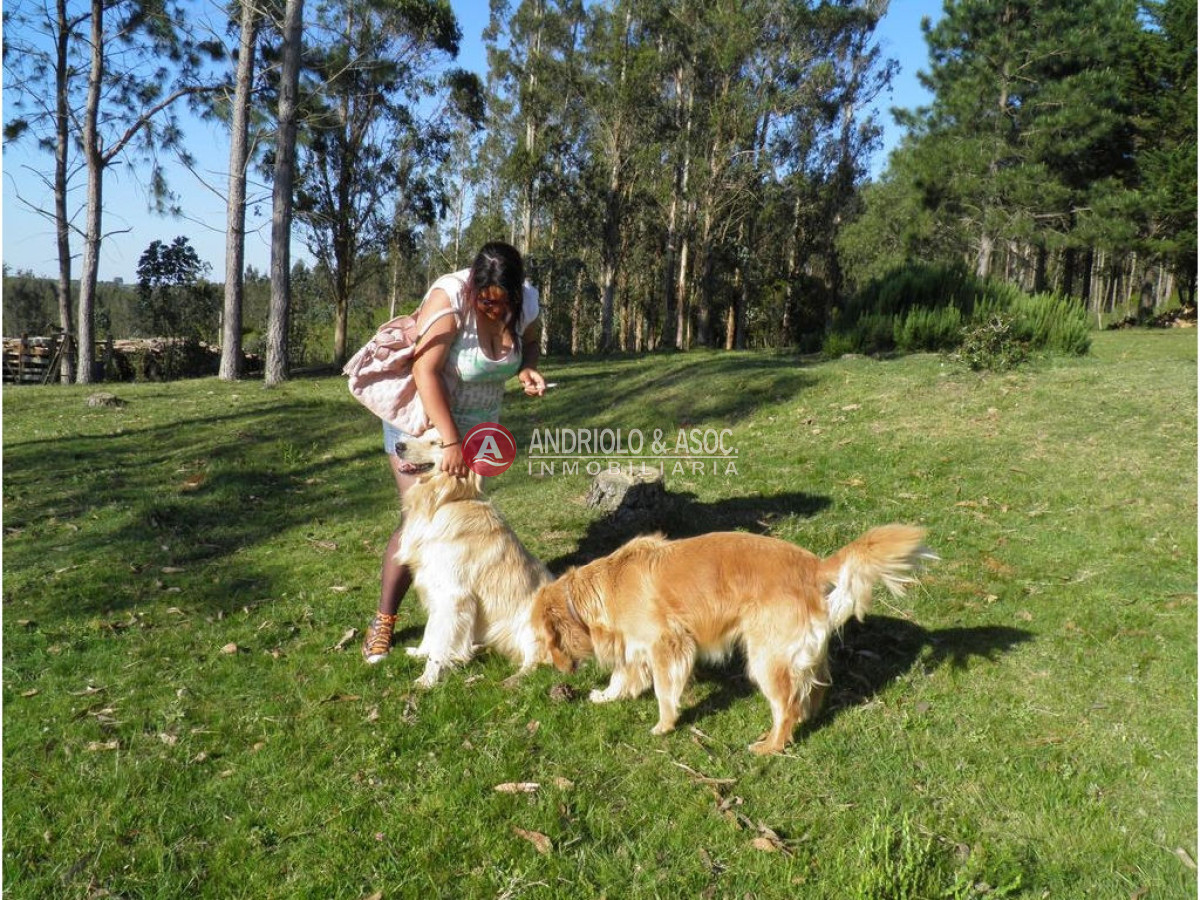 Campo Ref.6225 - Campo en Punta del Este, 