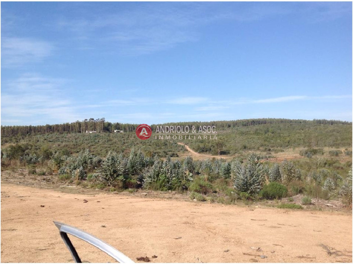 Campo Ref.6225 - Campo en Punta del Este, 