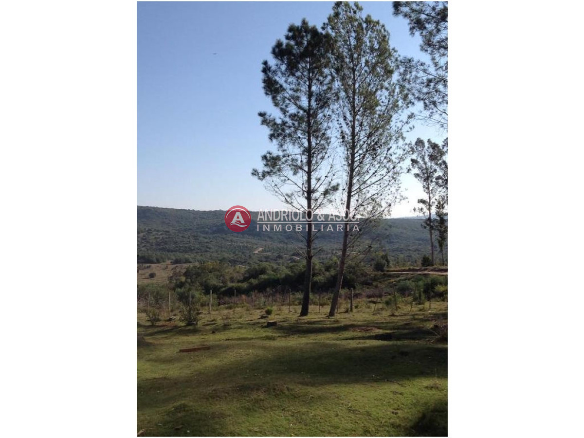 Campo Ref.6225 - Campo en Punta del Este, 