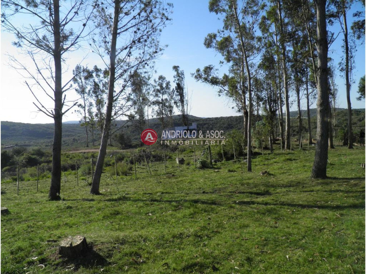 Campo Ref.6225 - Campo en Punta del Este, 