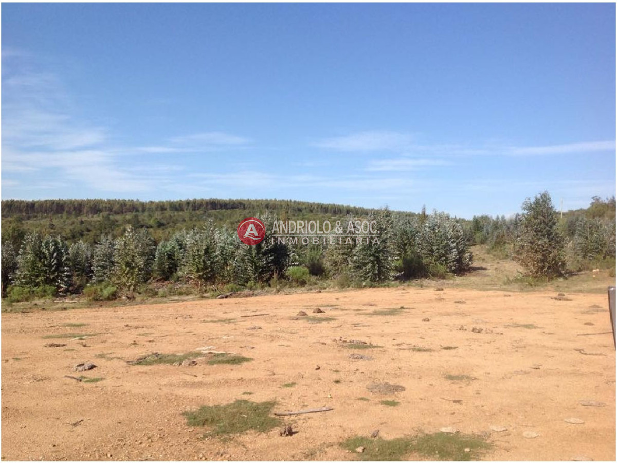 Campo Ref.6225 - Campo en Punta del Este, 