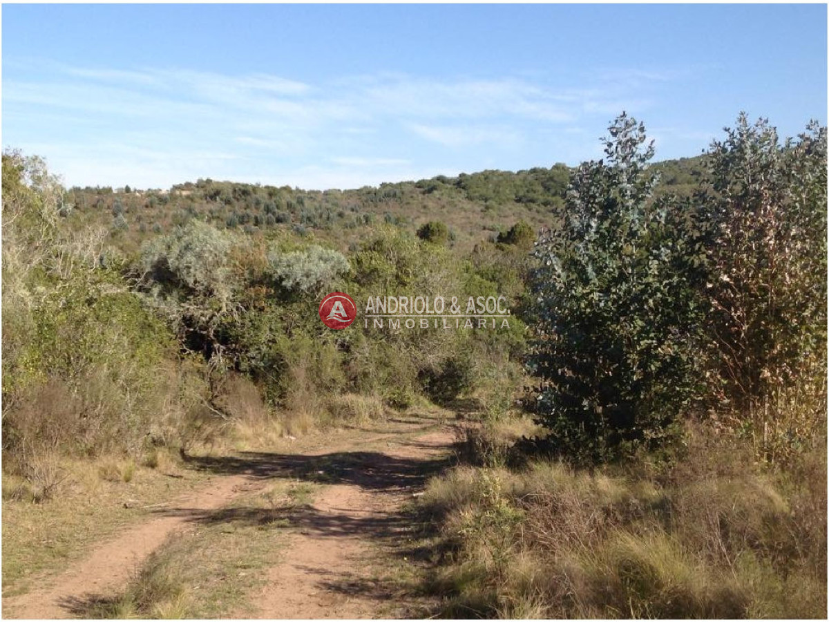 Campo Ref.6225 - Campo en Punta del Este, 