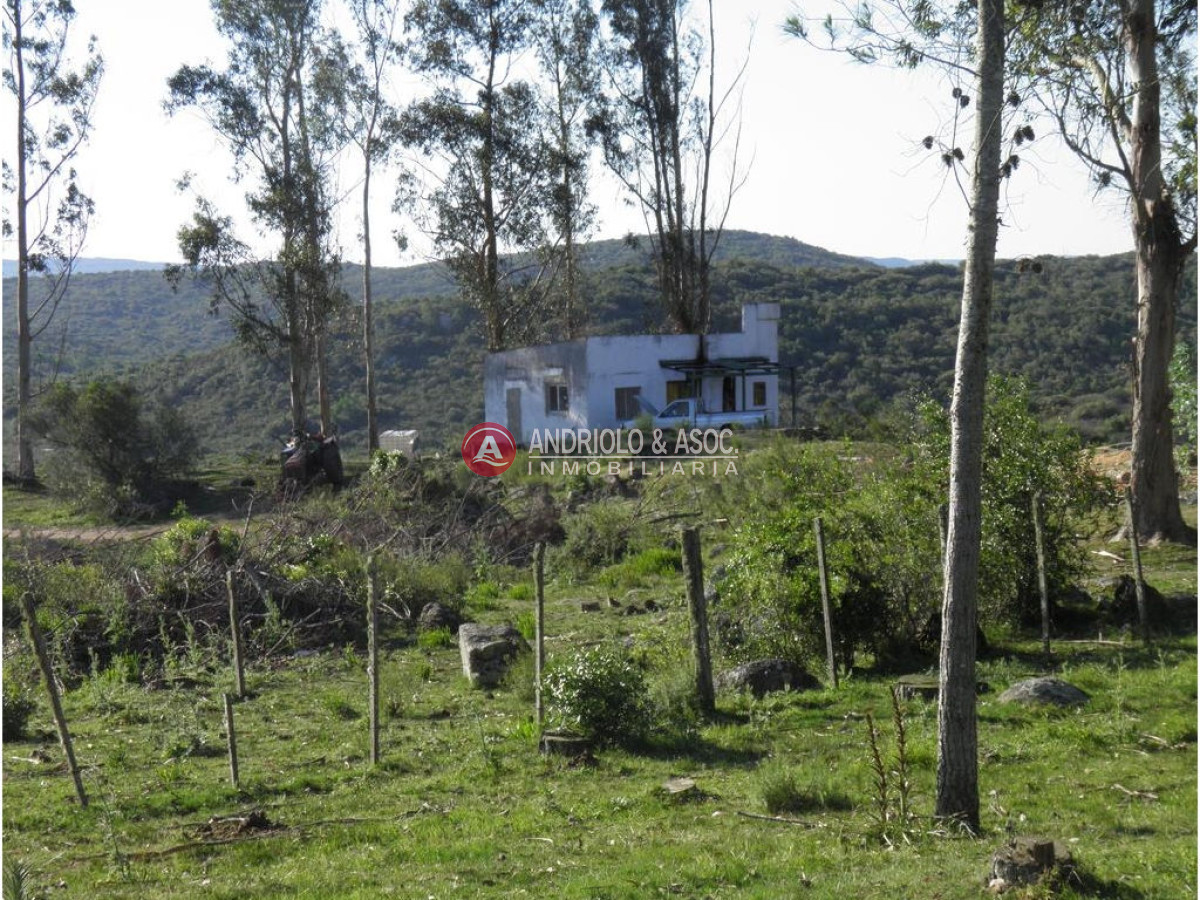 Campo Ref.6225 - Campo en Punta del Este, 