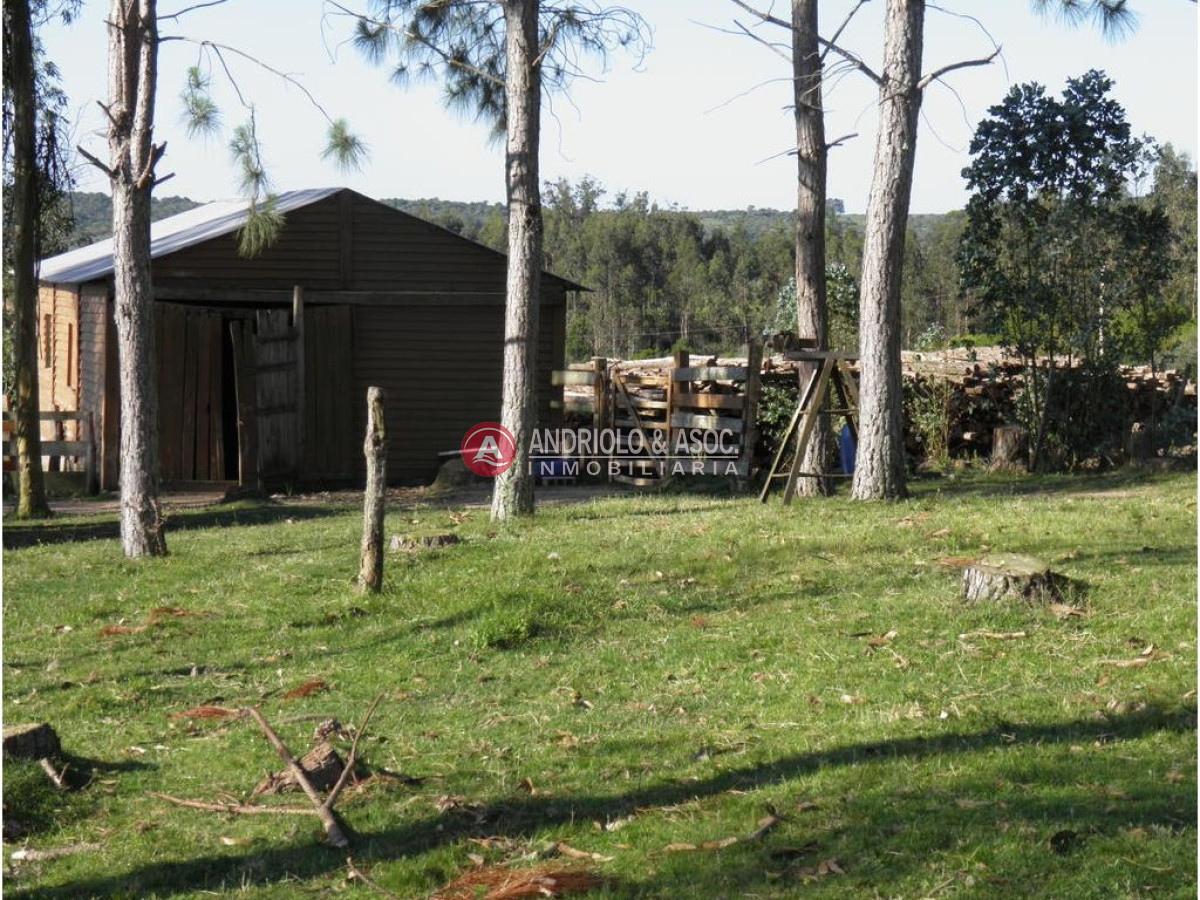 Campo Ref.6225 - Campo en Punta del Este, 