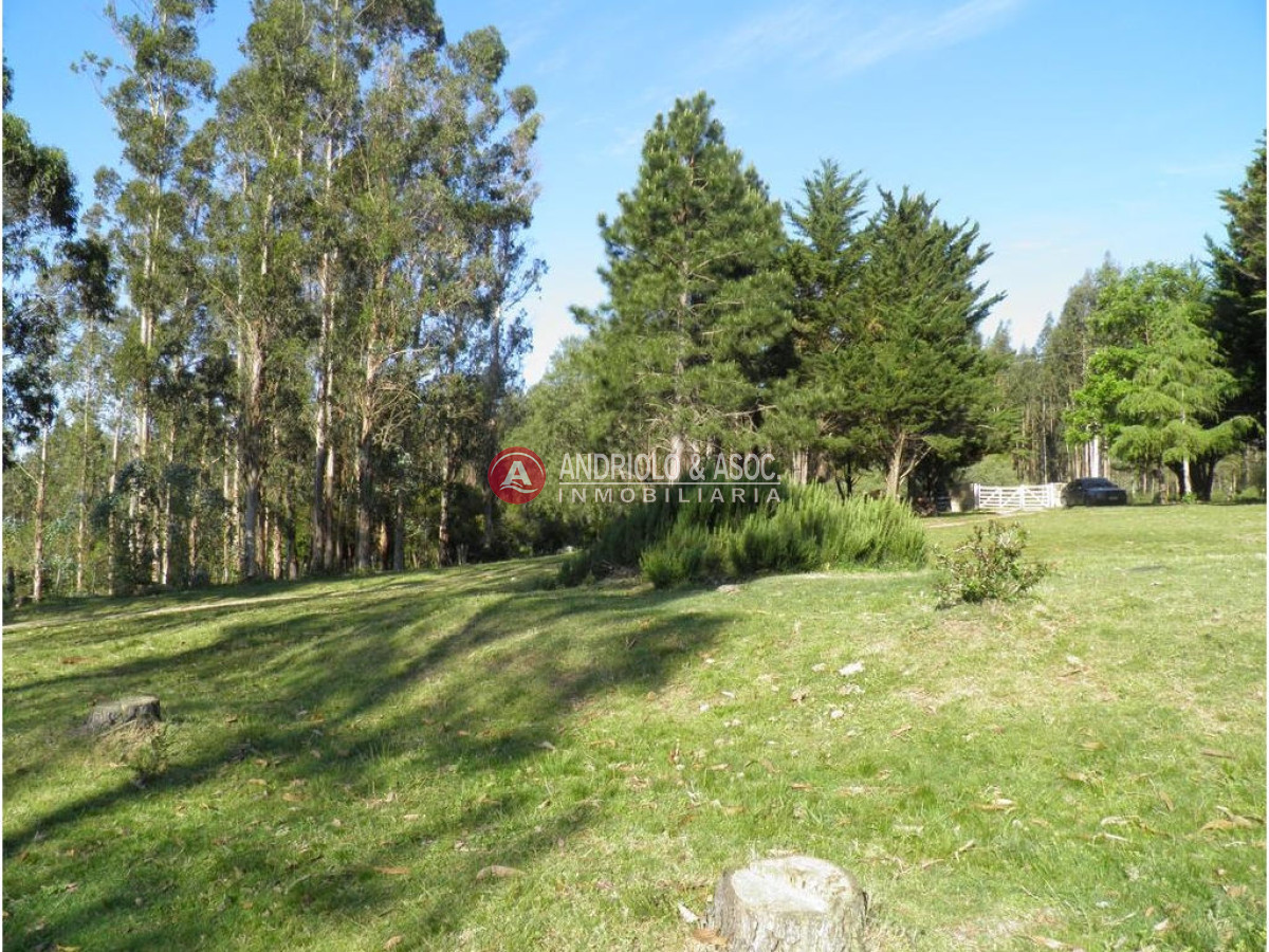 Campo Ref.6225 - Campo en Punta del Este, 
