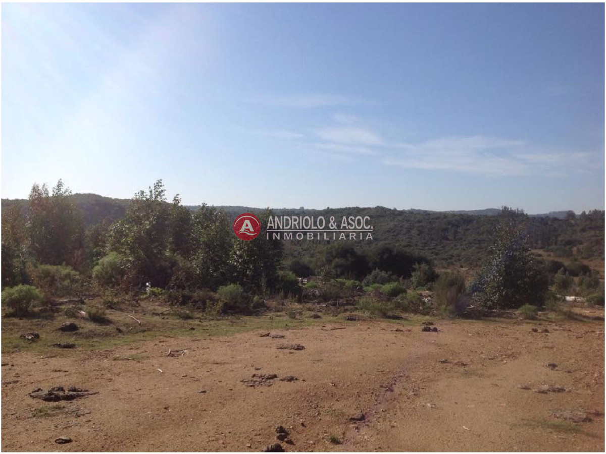 Campo Ref.6225 - Campo en Punta del Este, 