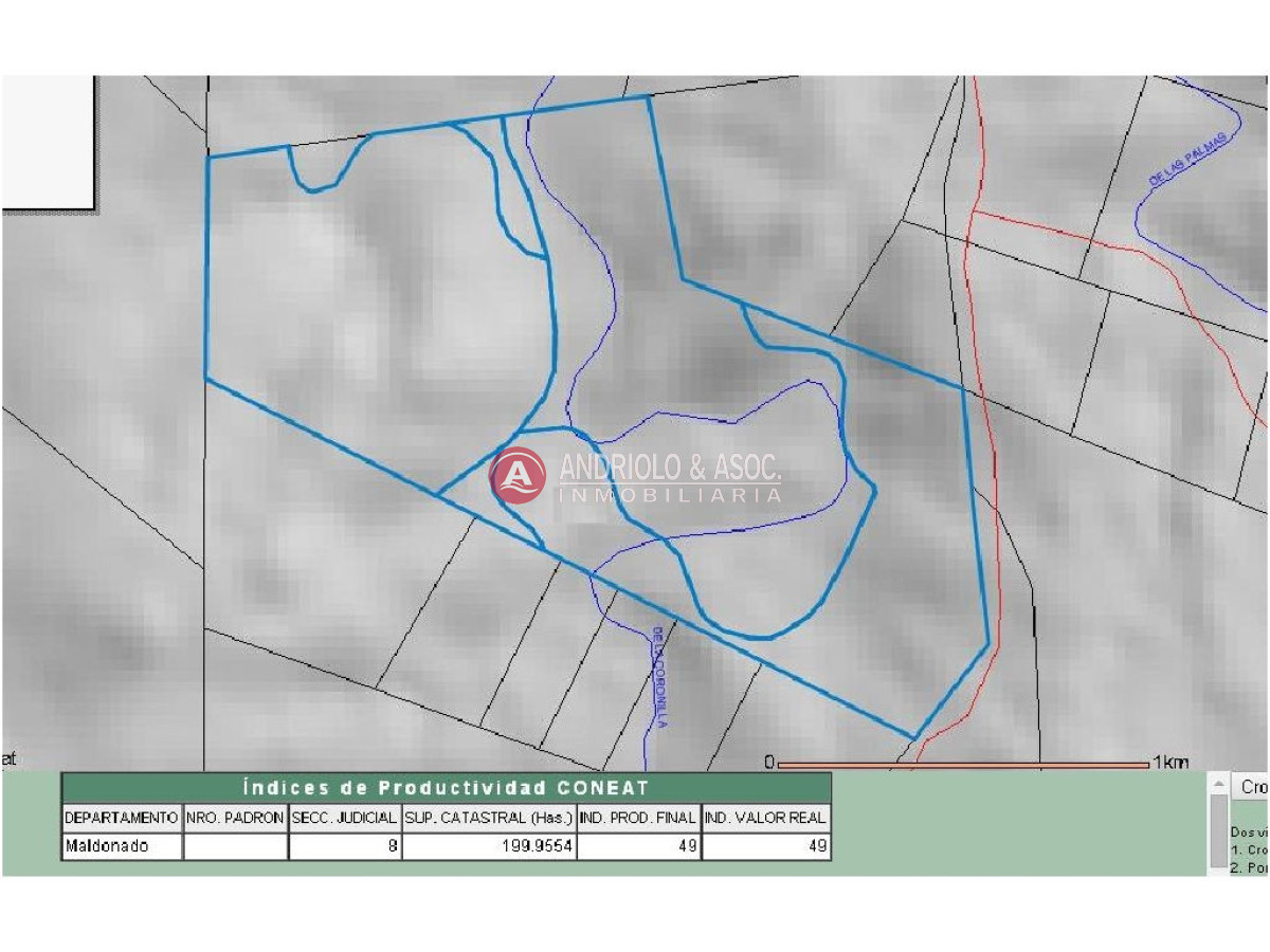 Campo Ref.6225 - Campo en Punta del Este, 