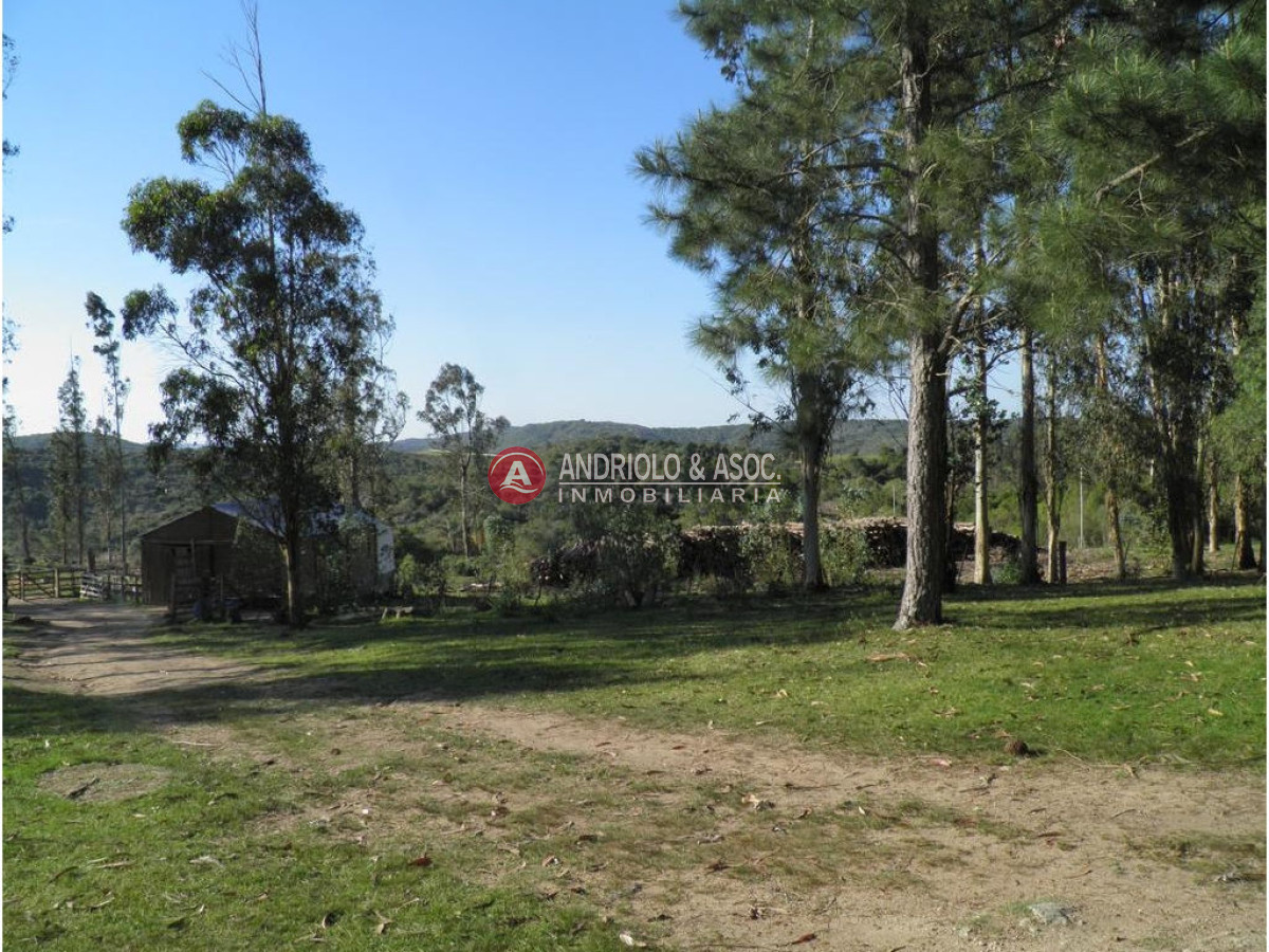 Campo Ref.6225 - Campo en Punta del Este, 