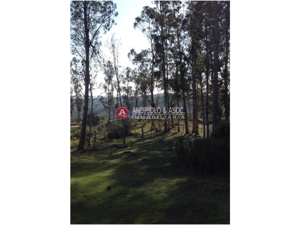 Campo Ref.6225 - Campo en Punta del Este, 