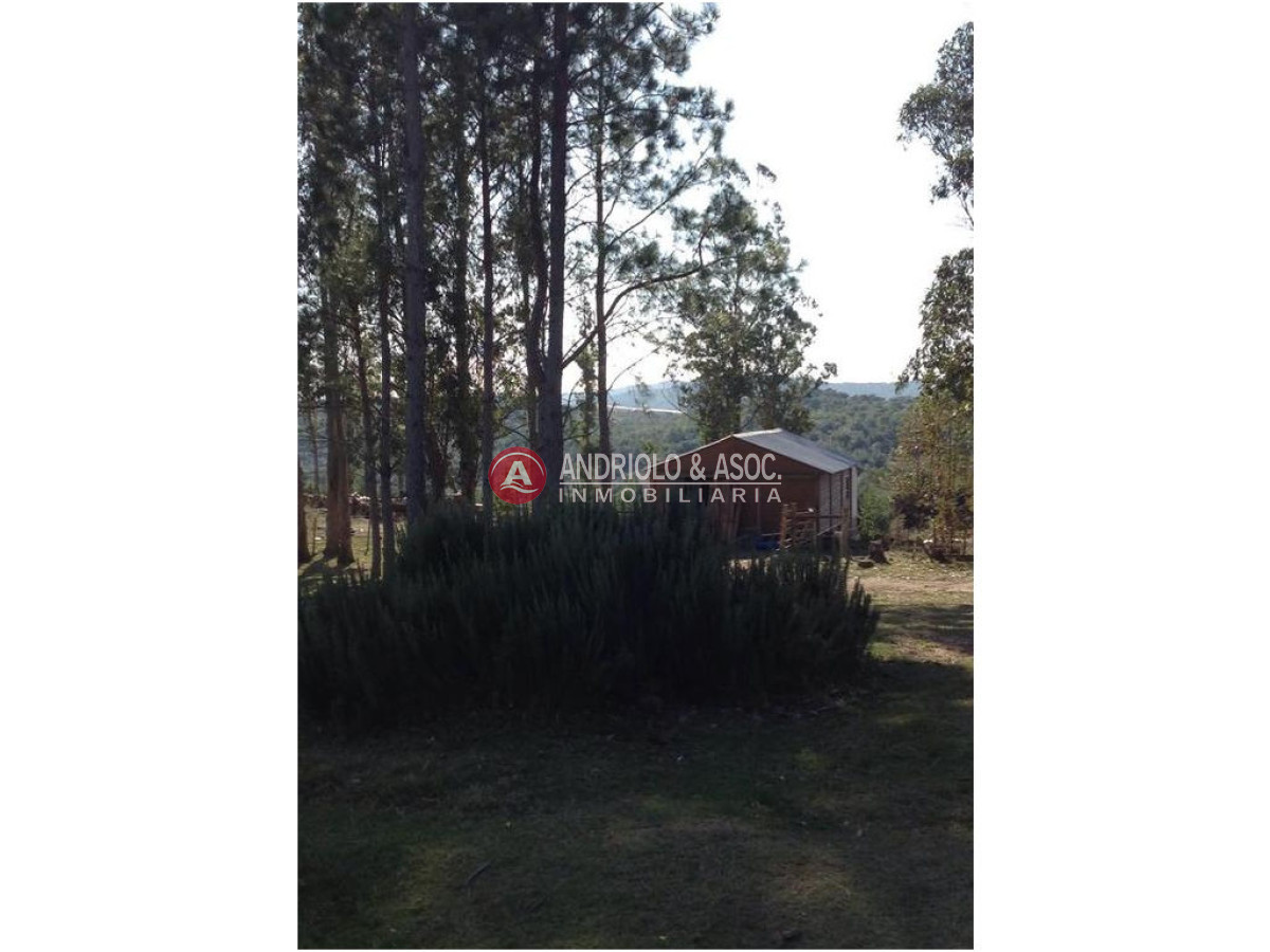 Campo Ref.6225 - Campo en Punta del Este, 
