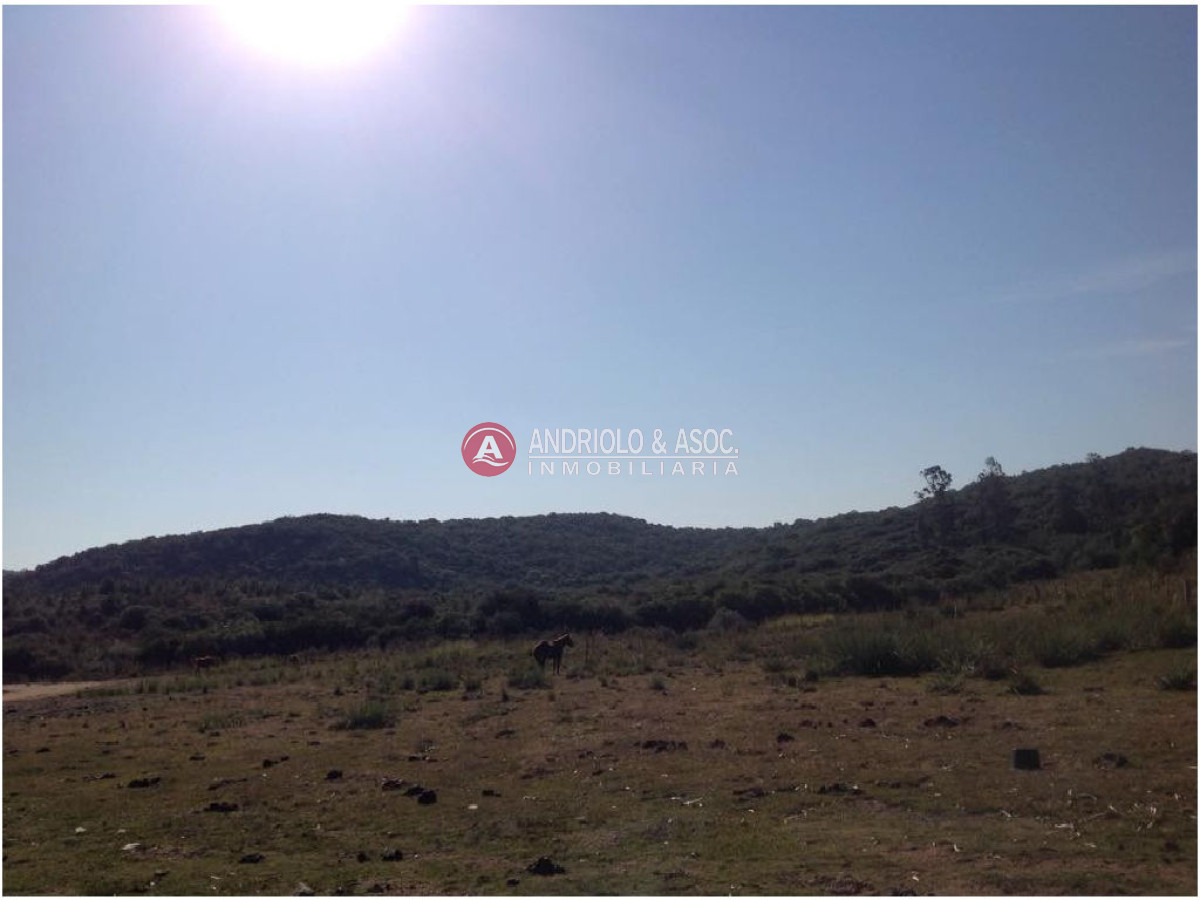 Campo Ref.6225 - Campo en Punta del Este, 