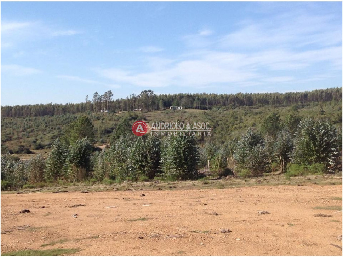 Campo Ref.6225 - Campo en Punta del Este, 