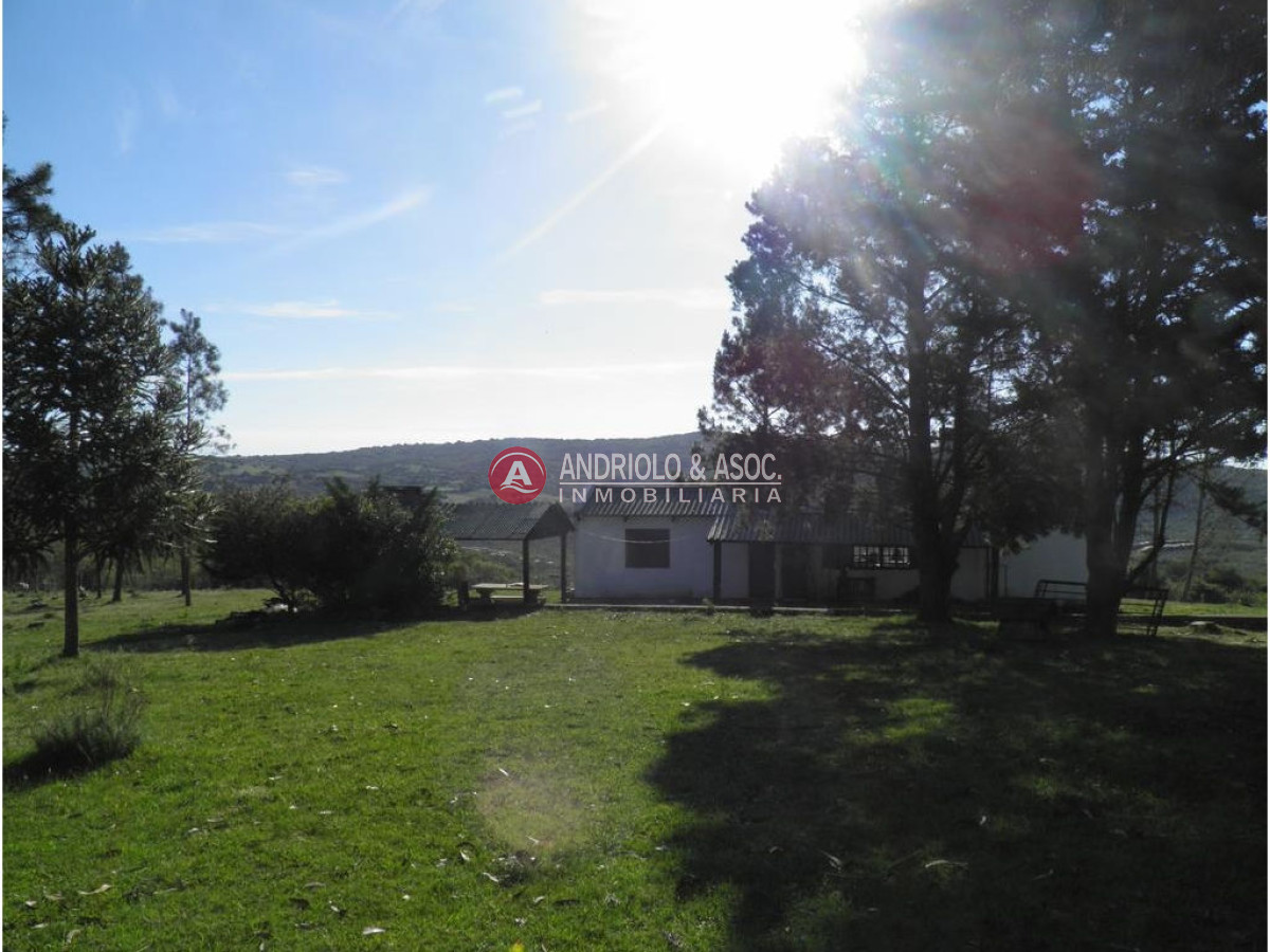Campo Ref.6225 - Campo en Punta del Este, 