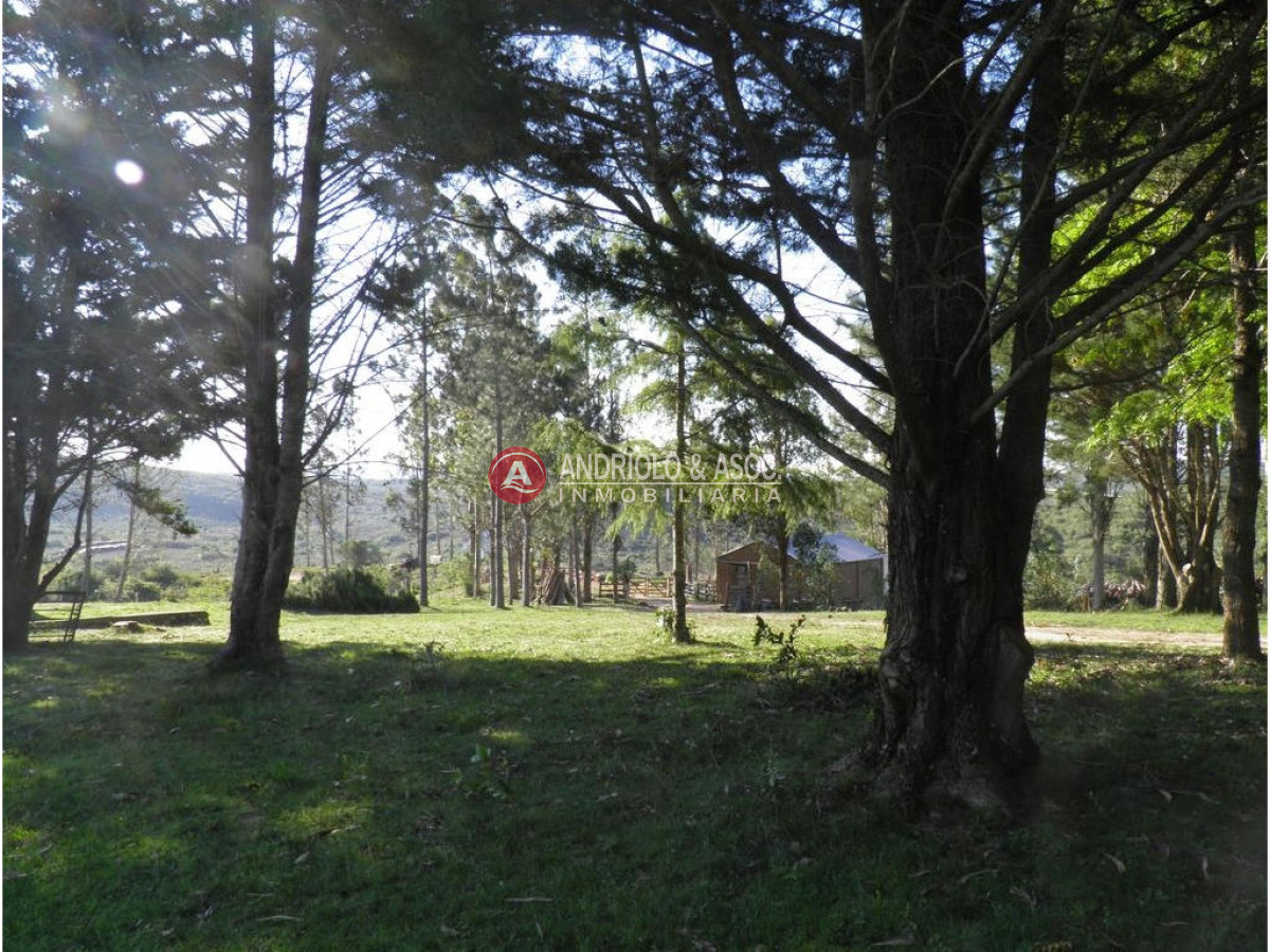 Campo Ref.6225 - Campo en Punta del Este, 