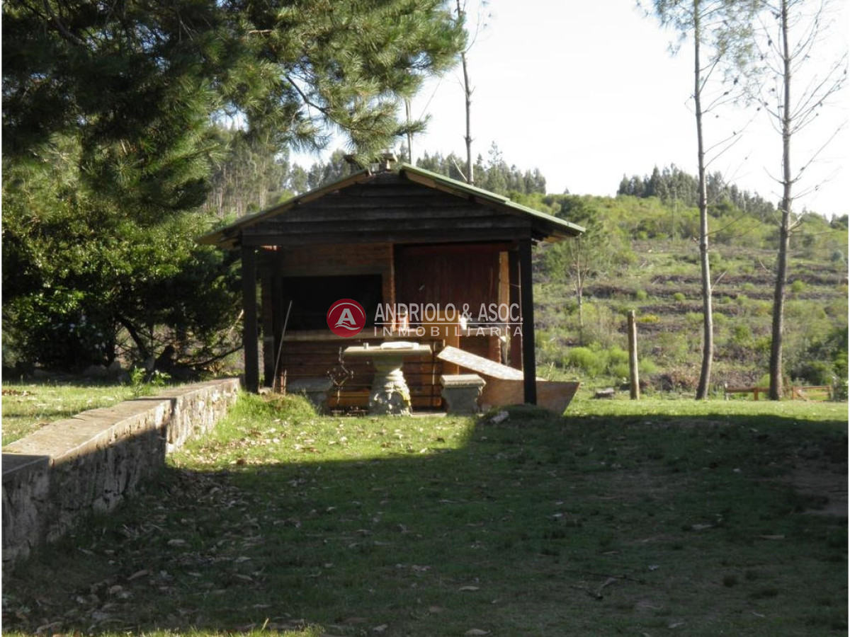 Campo Ref.6225 - Campo en Punta del Este, 