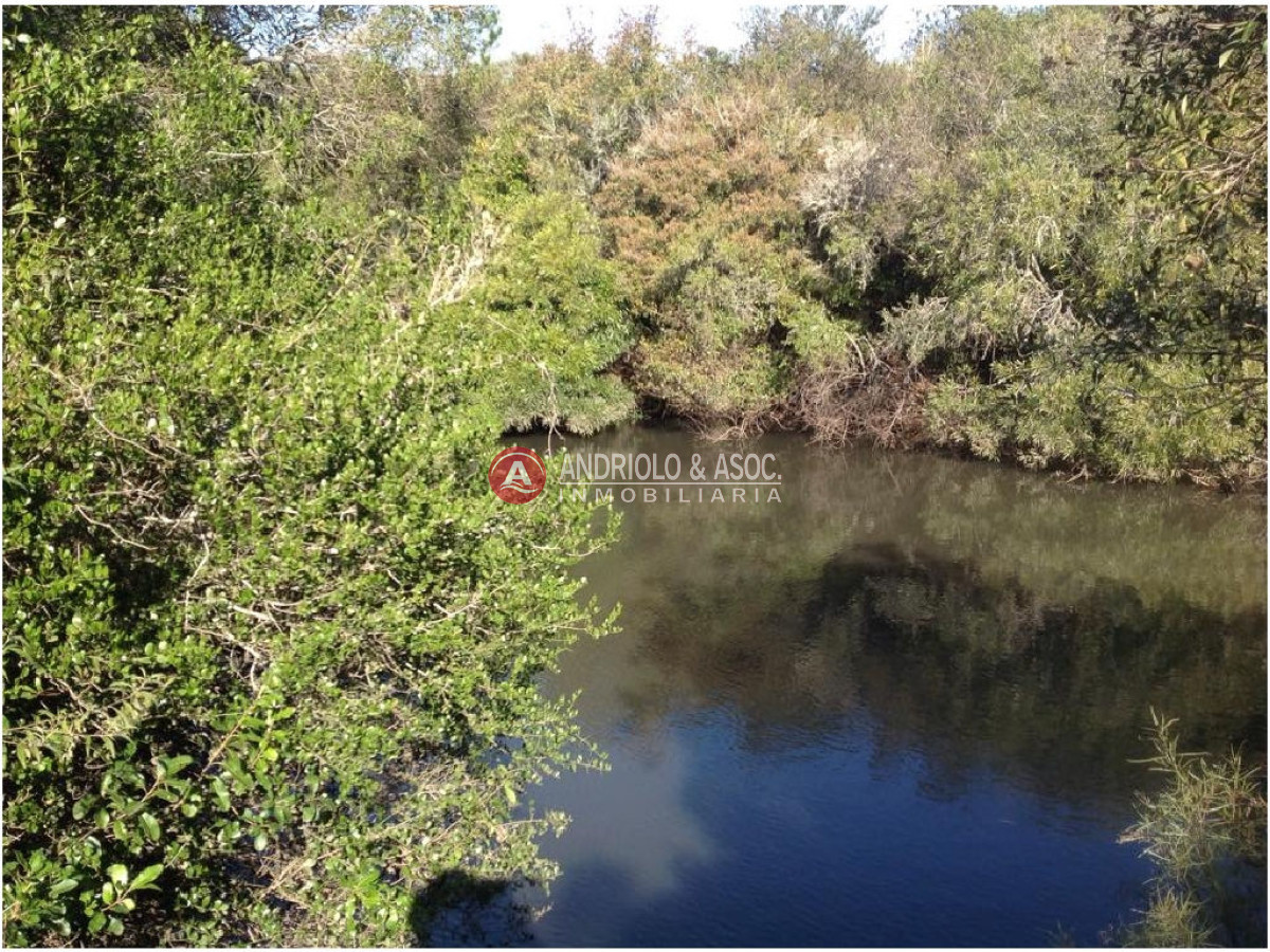 Campo Ref.6225 - Campo en Punta del Este, 