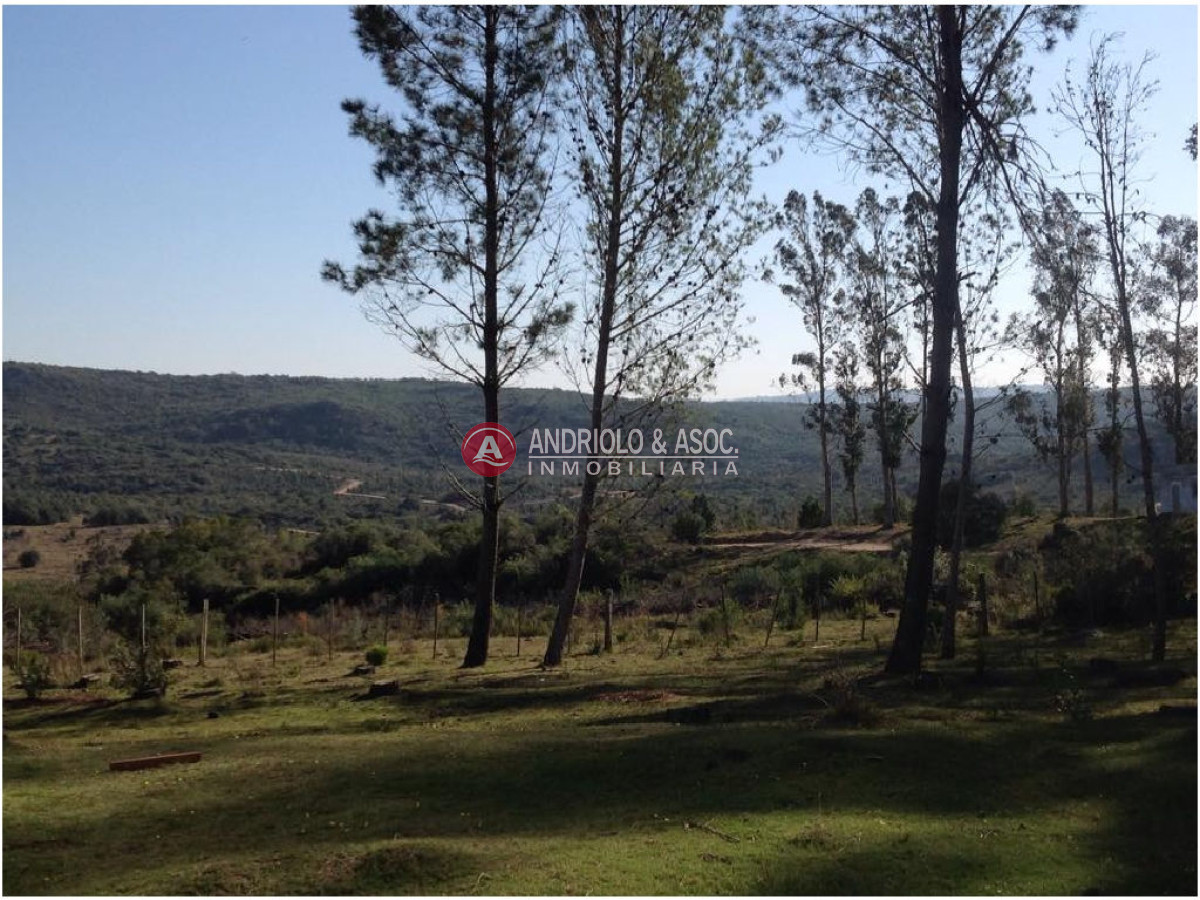 Campo Ref.6225 - Campo en Punta del Este, 