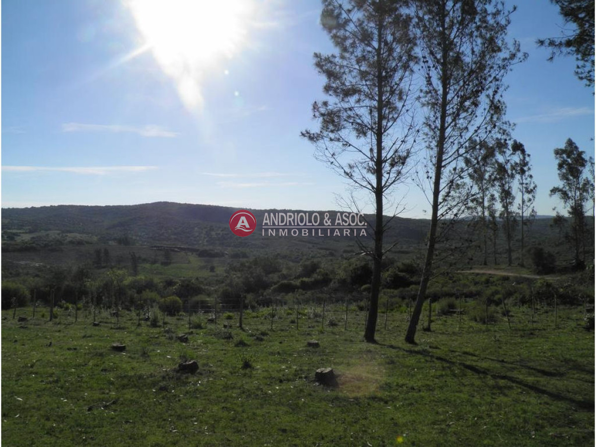 Campo Ref.6225 - Campo en Punta del Este, 