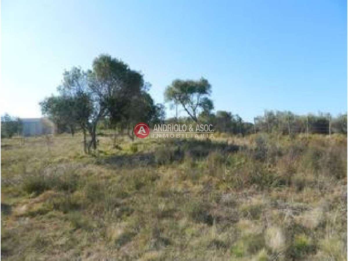 Campo Ref.6227 - Campo en Punta del Este, 