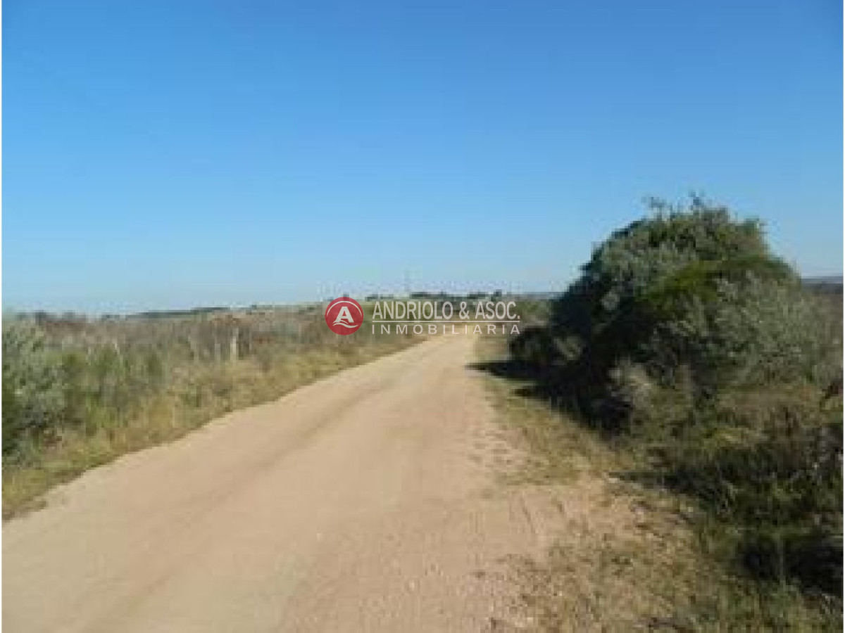 Campo Ref.6227 - Campo en Punta del Este, 