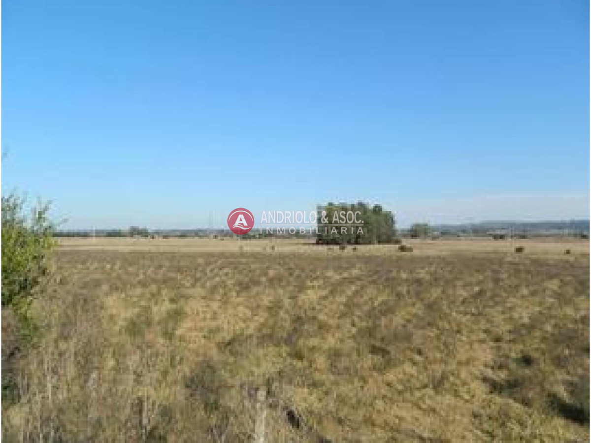 Campo Ref.6227 - Campo en Punta del Este, 