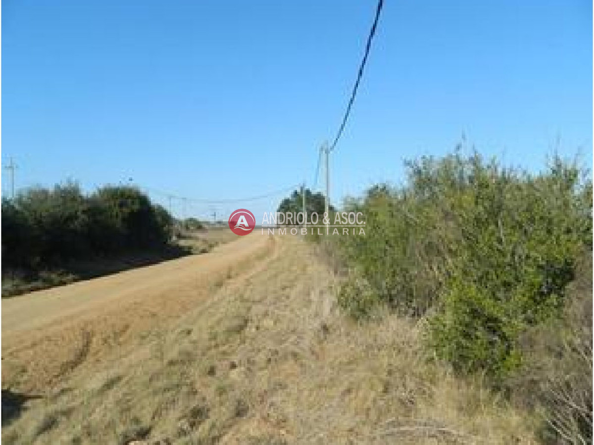 Campo Ref.6227 - Campo en Punta del Este, 